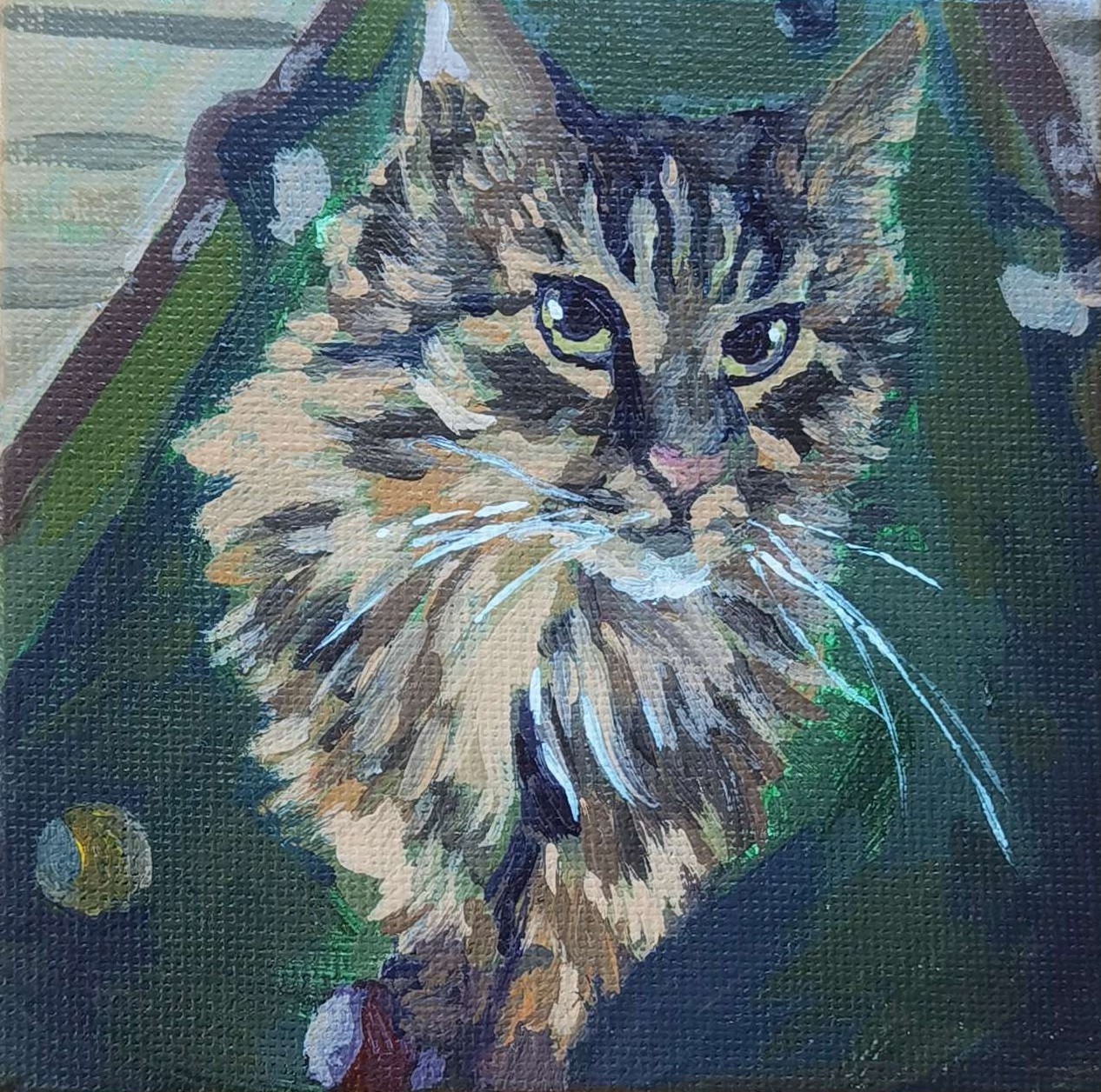 cat #9-1
