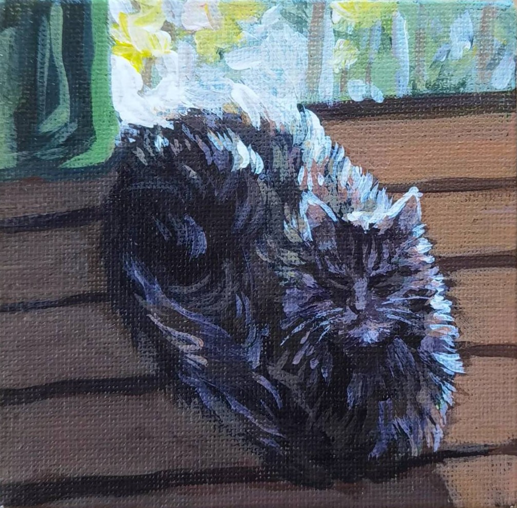 cat #9-2