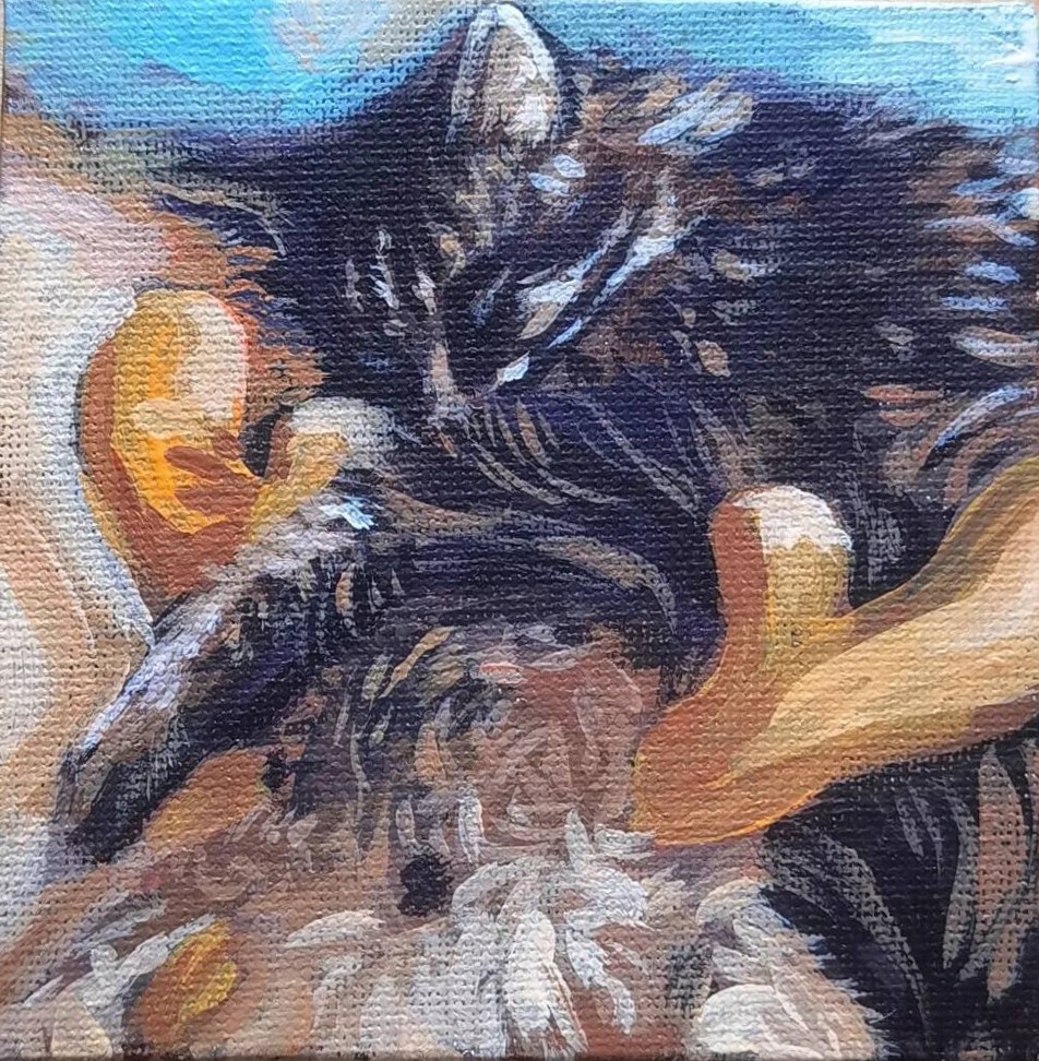 cat #9-3